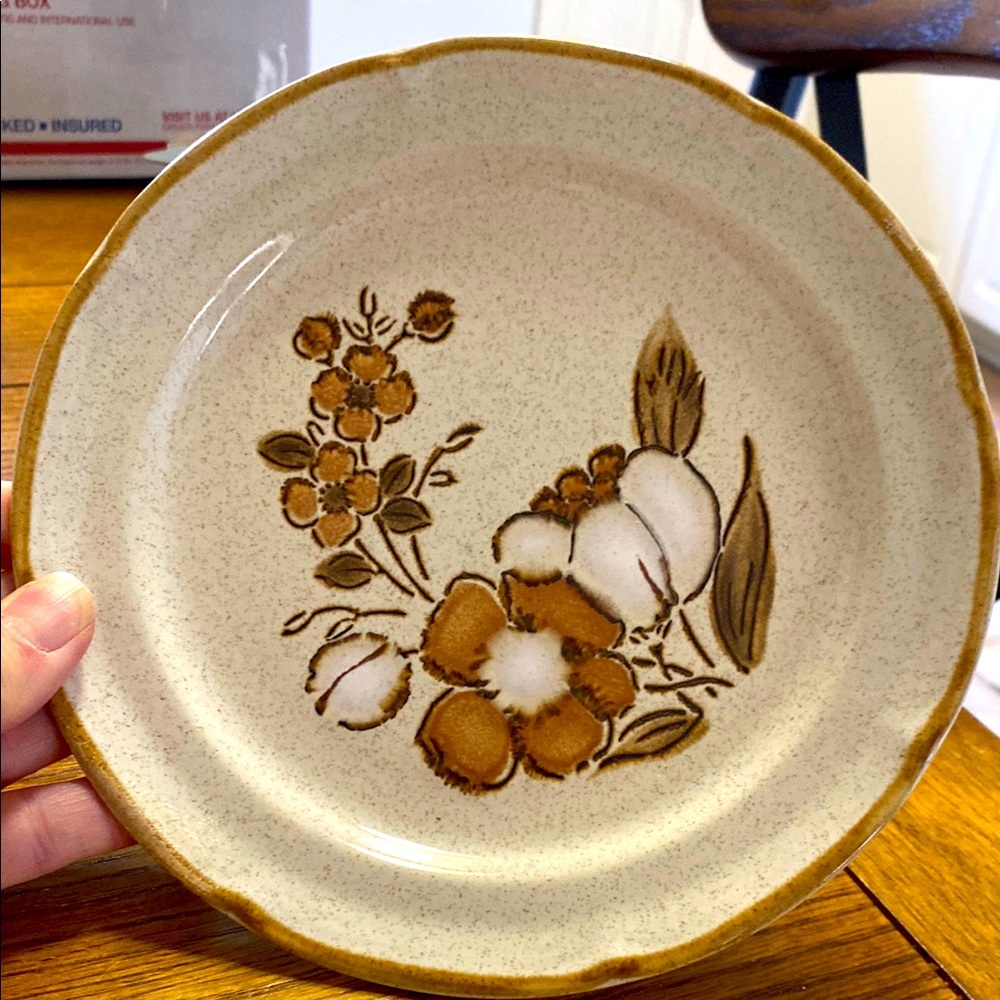 Autumn Fair Baroque Hearthside Stoneware Plates